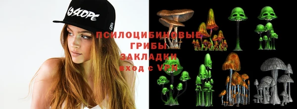 а пвп мука Алзамай