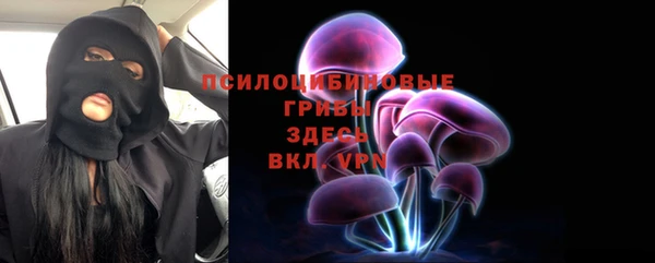 а пвп мука Алзамай